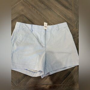 LOFT Women's Light Blue Pinstripe Shorts Size 8